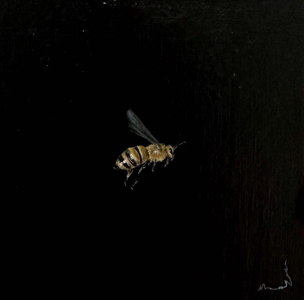 Monique Correy - The Prince