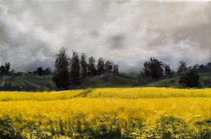 Kelly Kondis - Banquet