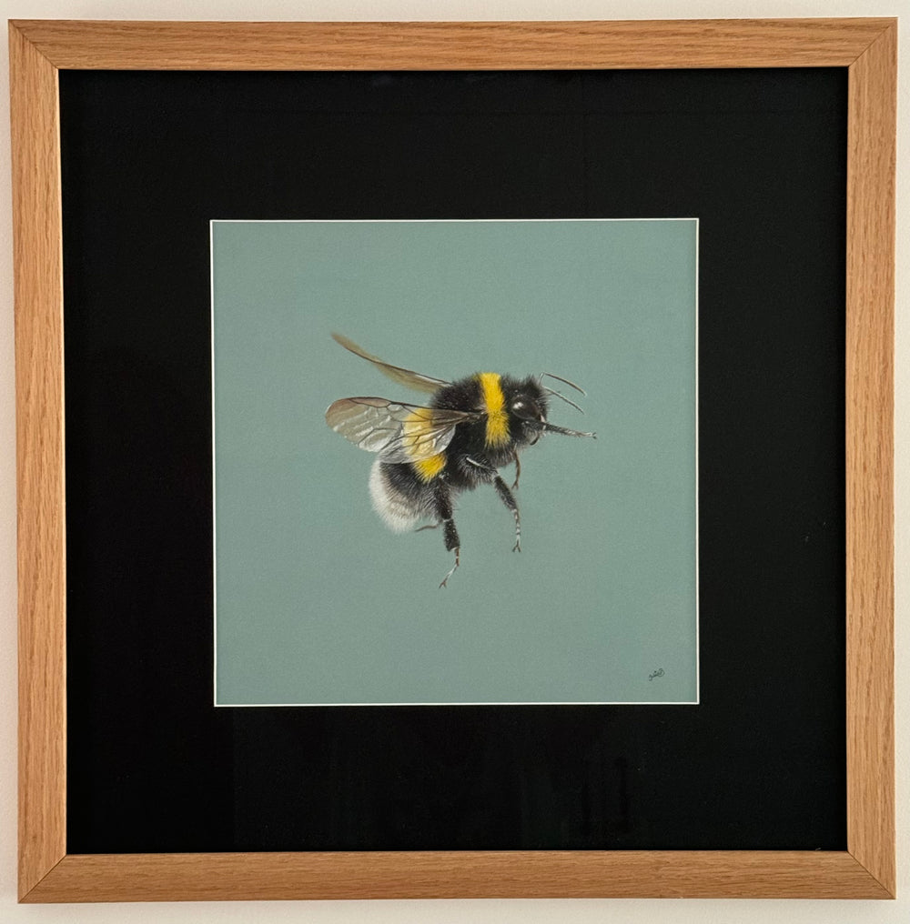 Juliet Bradford - Buzzy