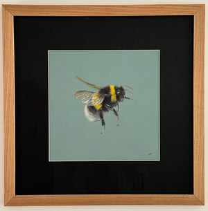 Juliet Bradford - Buzzy