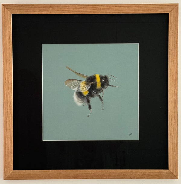 Juliet Bradford - Buzzy
