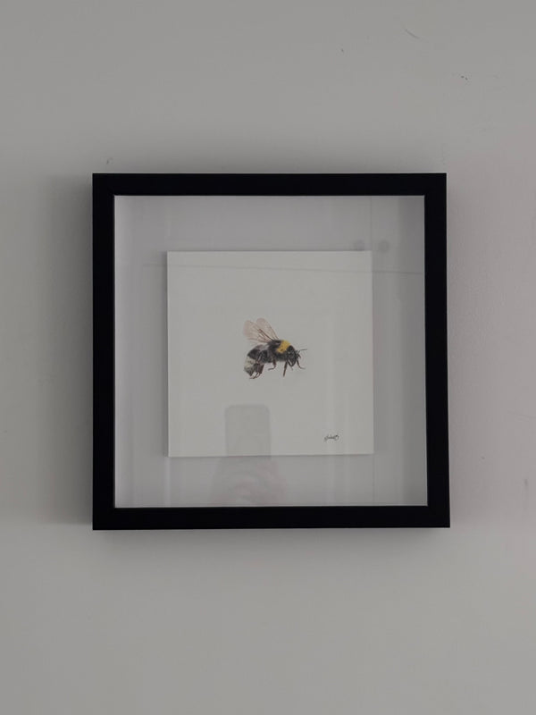 Juliet Bradford - Bumble