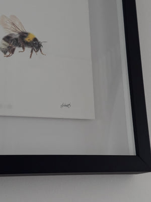 Juliet Bradford - Bumble