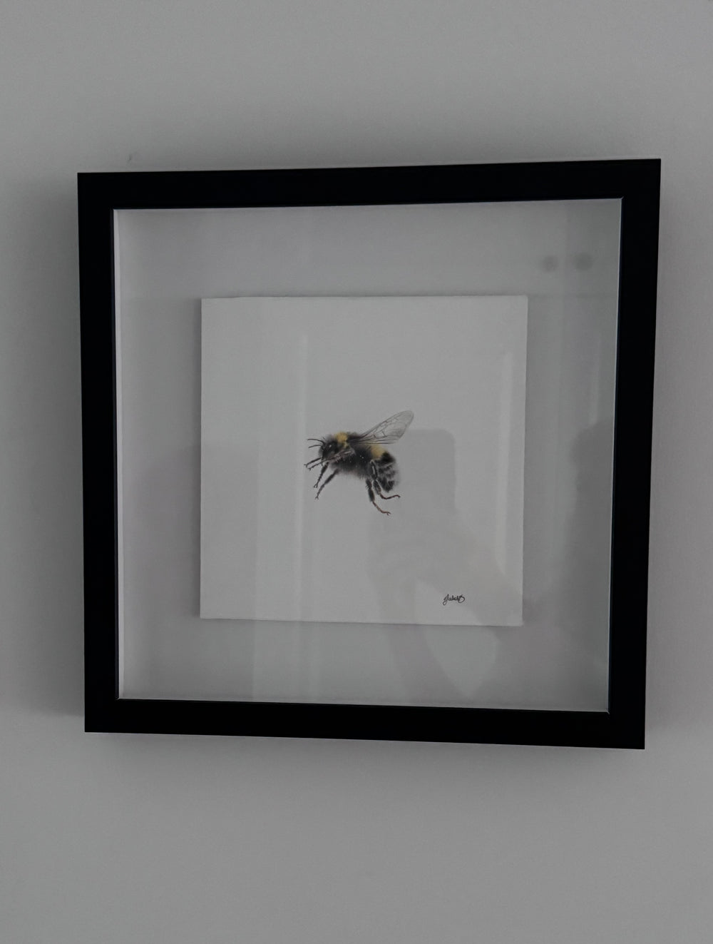 Juliet Bradford - Buzz