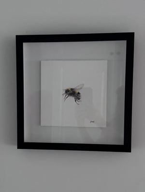 Juliet Bradford - Buzz