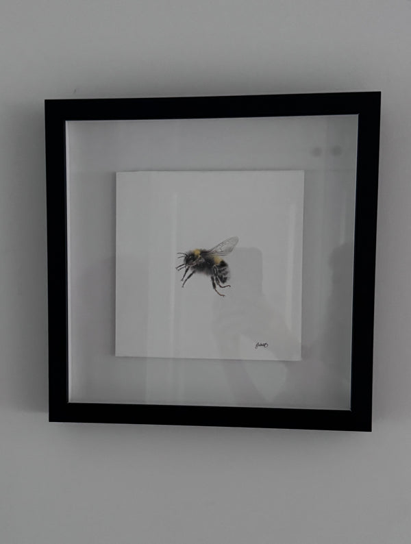 Juliet Bradford - Buzz