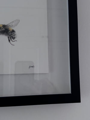 Juliet Bradford - Buzz