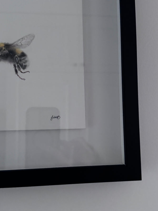 Juliet Bradford - Buzz