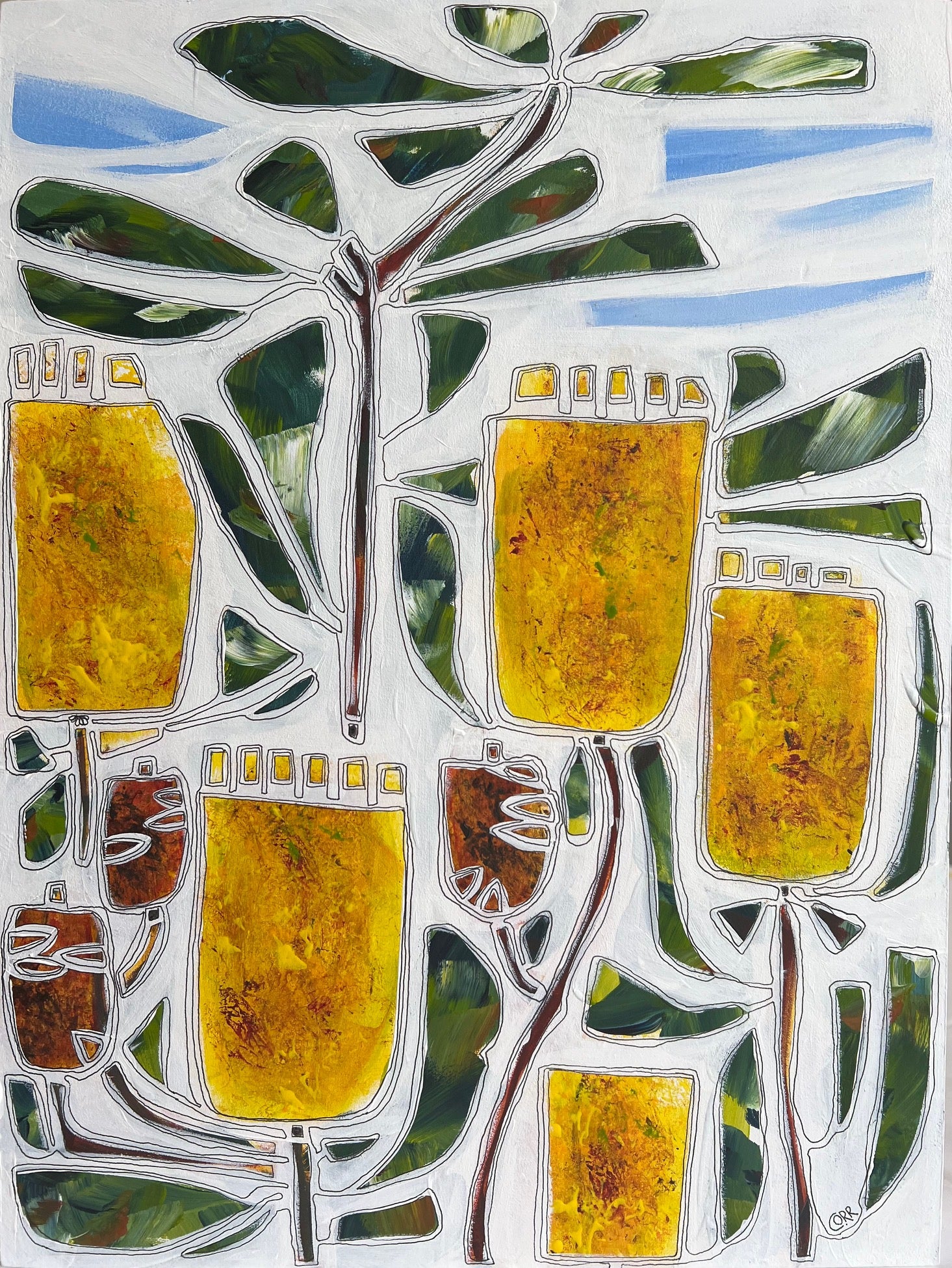 Cynthia Orr - Morning Joy