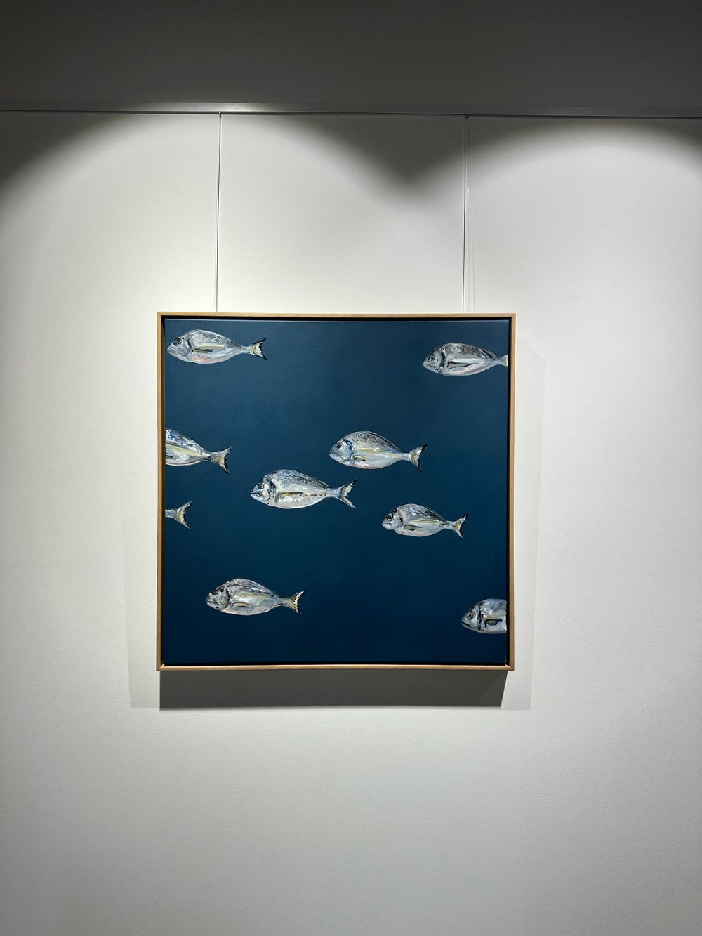 Monique Correy - Shoal