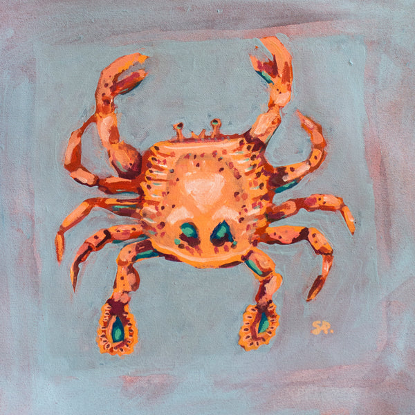 Stephanie Perrins - Catching the Sun #1