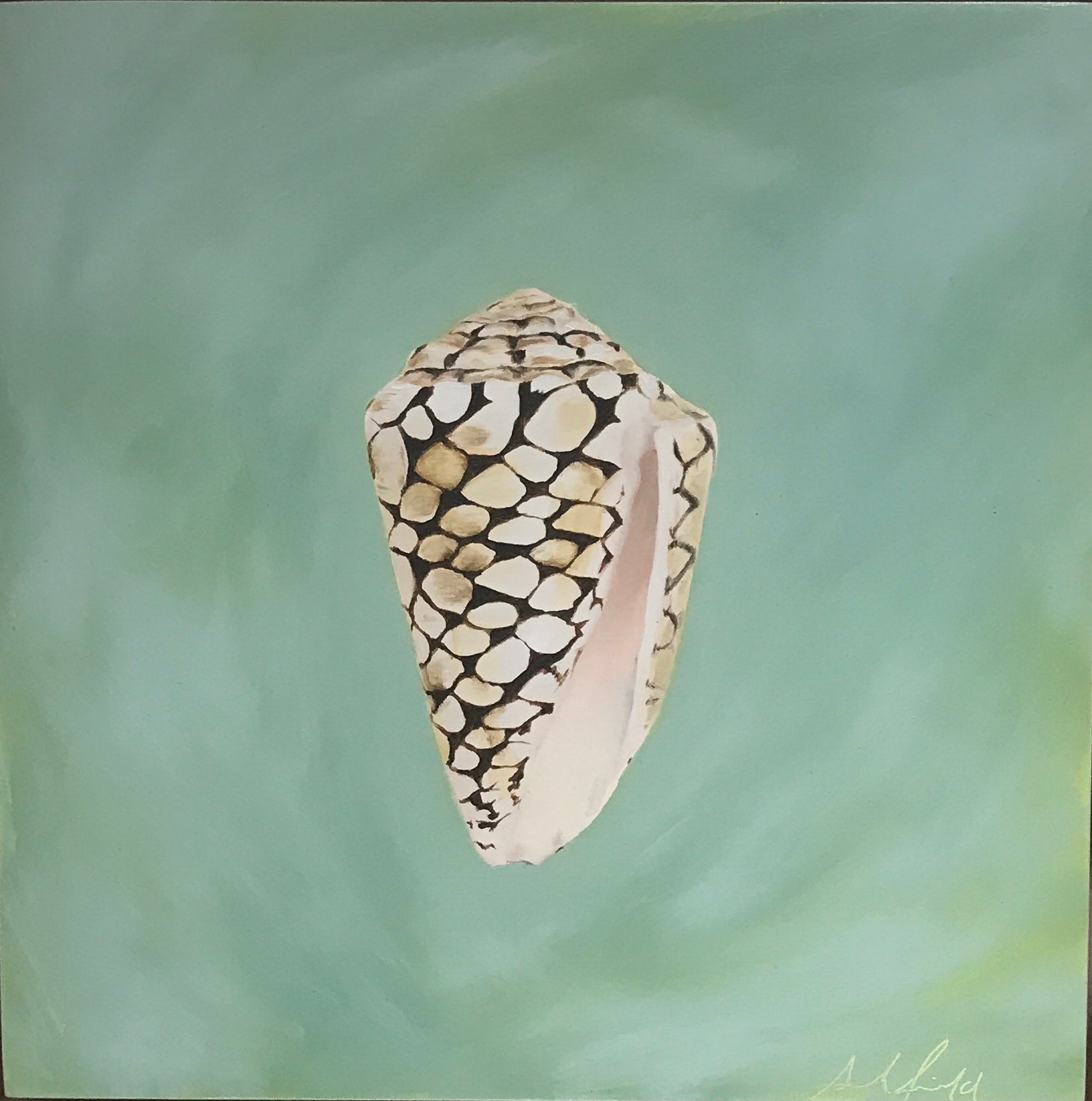 Sarah Field - Shell on green