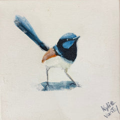 Kylie Van Tol - Mini Wrens 3