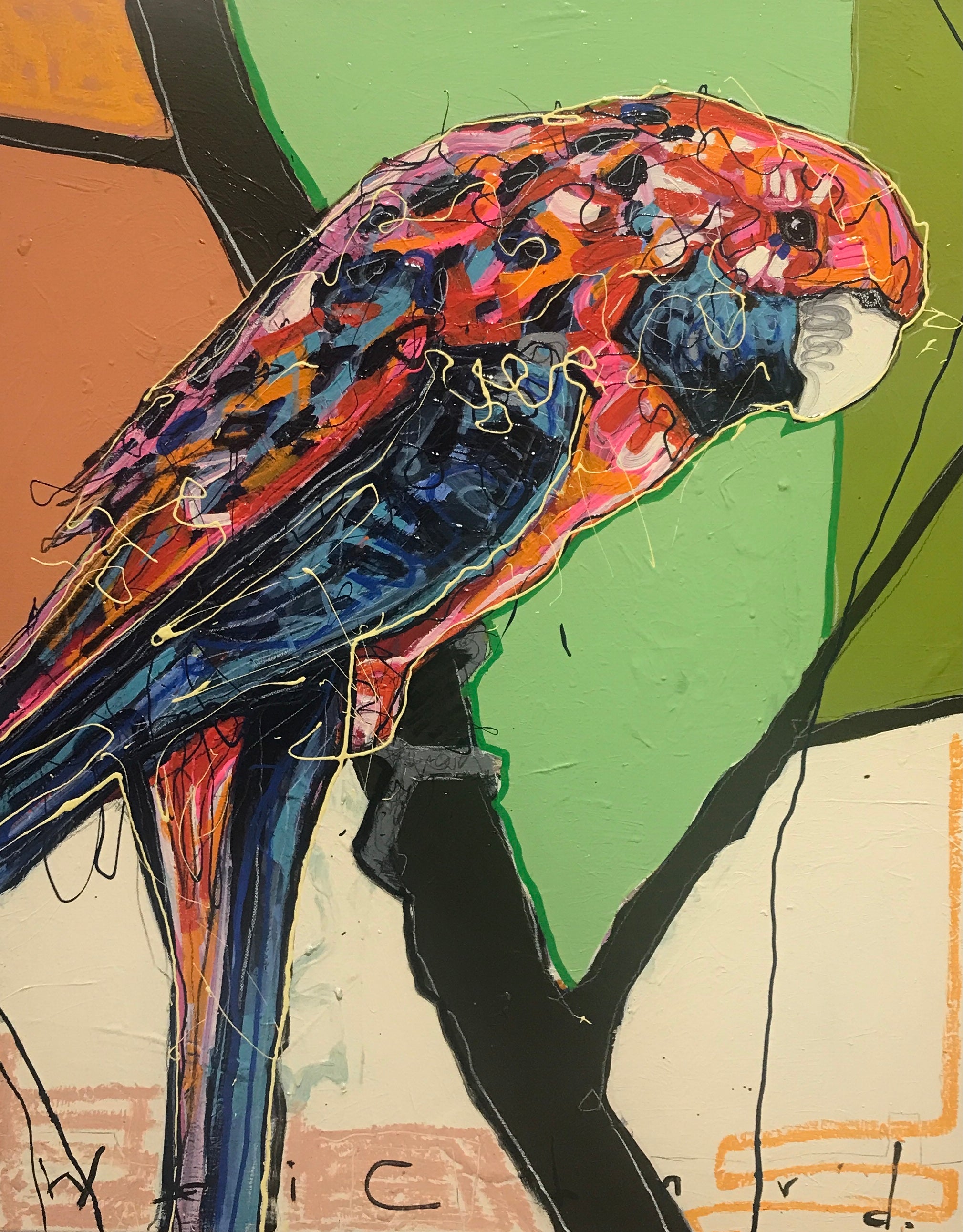 Aidan Weichard - Rosella Fella