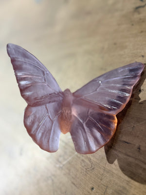 Luke Jacomb Studio - Classic Butterfly Admiral (Rose)