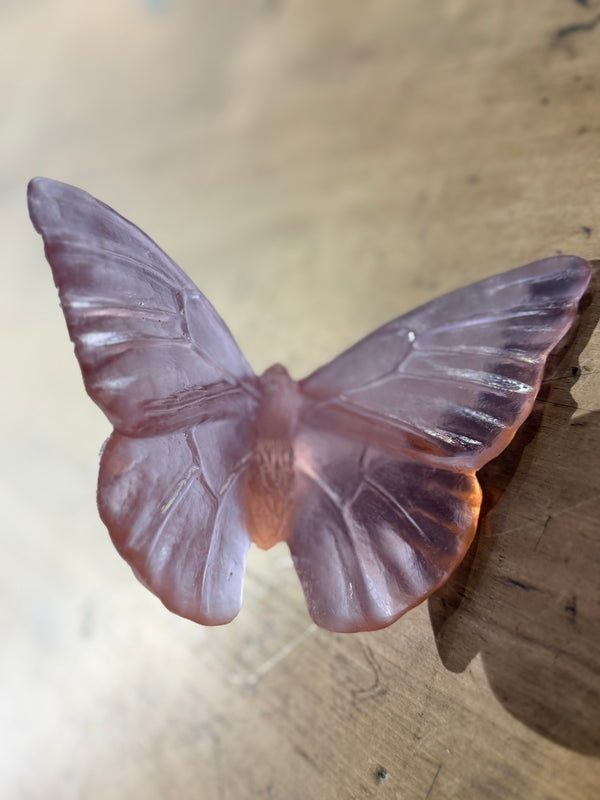 Luke Jacomb Studio - Classic Butterfly Admiral (Rose)