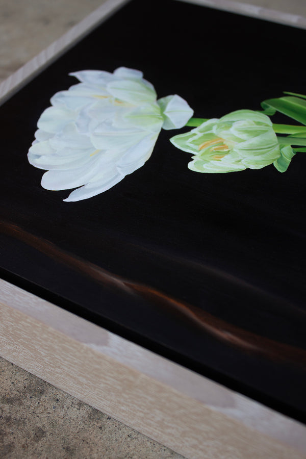 Sarah Field - White Tulips