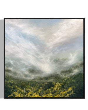Kelly Kondis - Diaphanous
