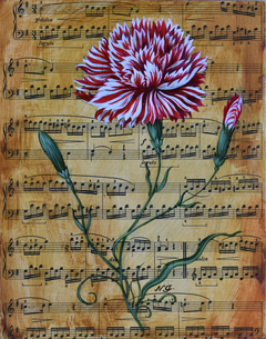 Natasha Junmanee - Dutch Carnation