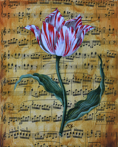 Natasha Junmanee - Dutch Tulip