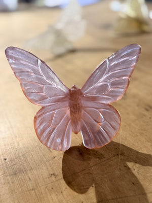 Luke Jacomb Studio - Classic Butterfly Monarch (Rose)