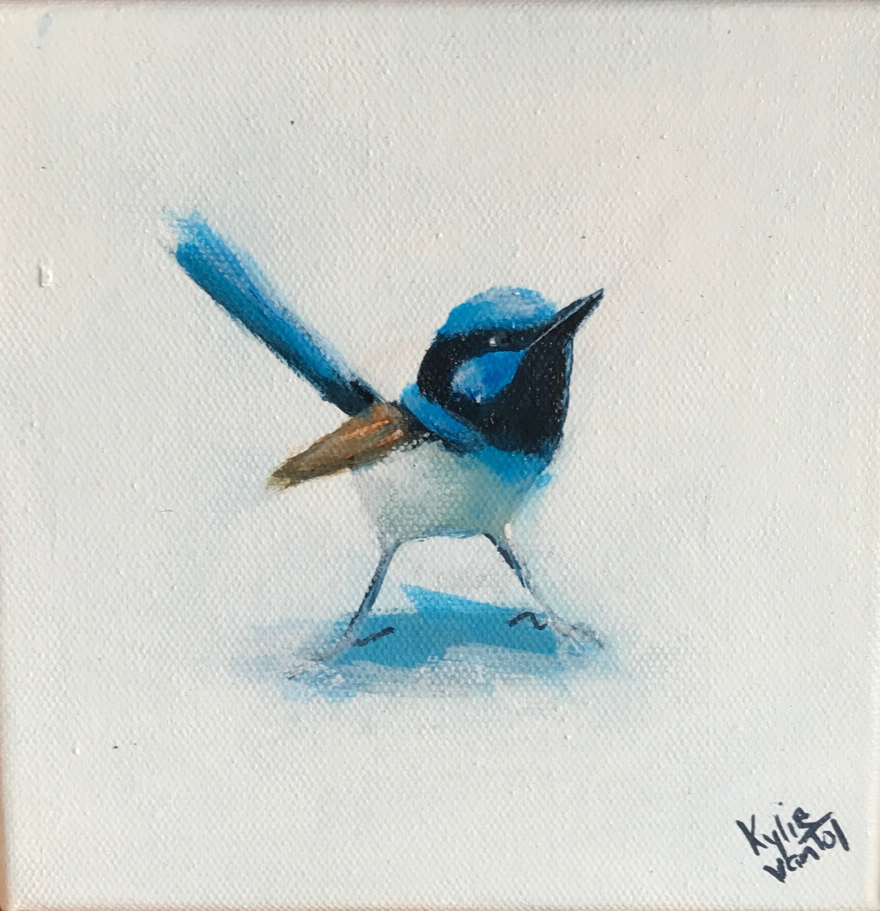 Kylie van Tol - Blue Wren 4