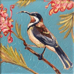 Kobie Bosch - Eastern Spinebill