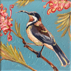 Kobie Bosch - Eastern Spinebill