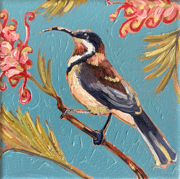 Kobie Bosch - Eastern Spinebill