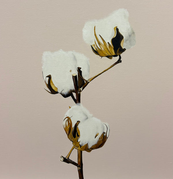 Gabi Lord - Cotton candy