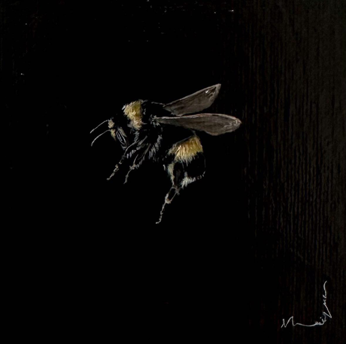 Monique Correy - The King