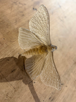 Luke Jacomb Studio - Moth (Wings Out - Bronze)