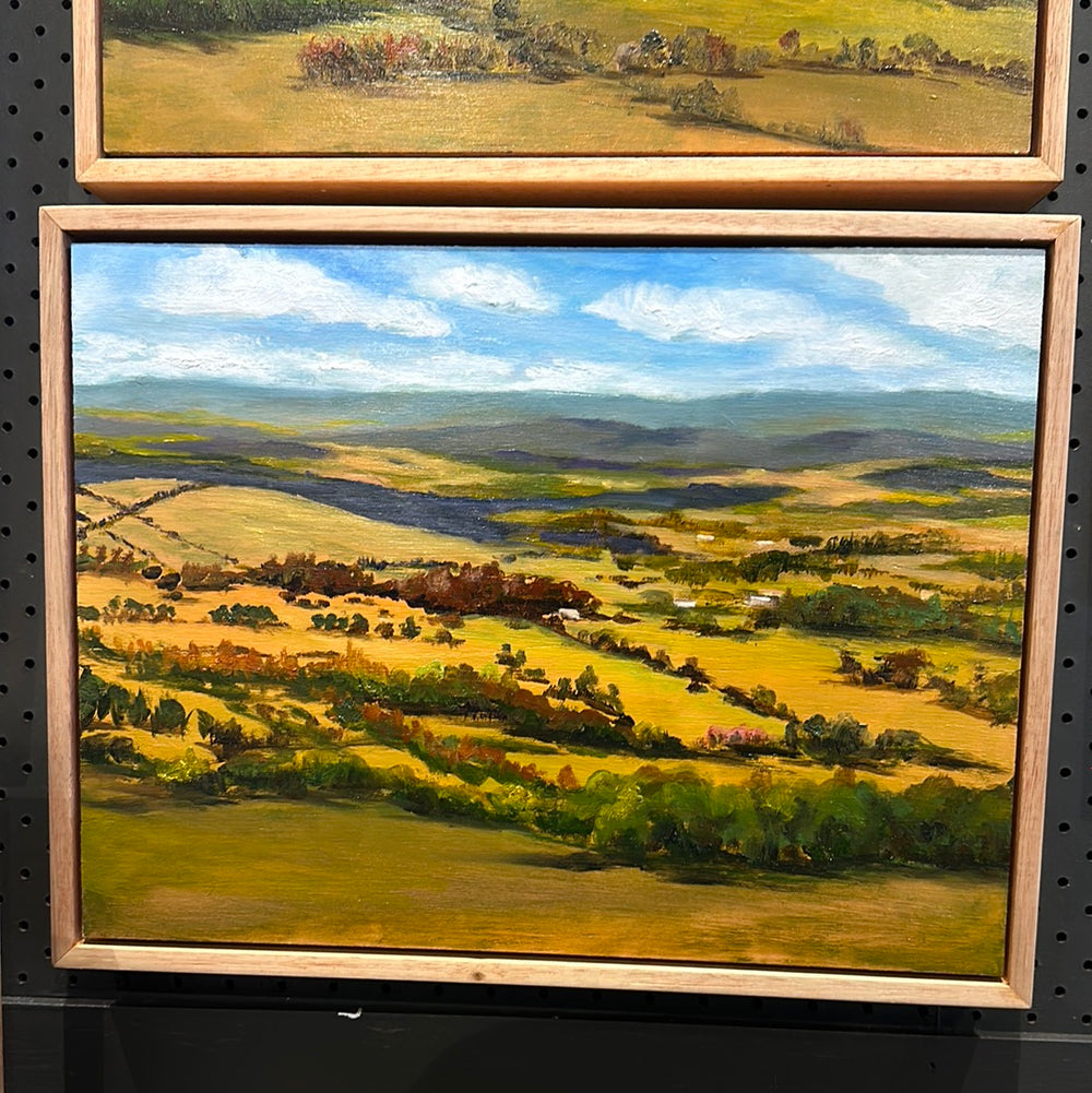 Dylan Cooper - Mount Canobolas II