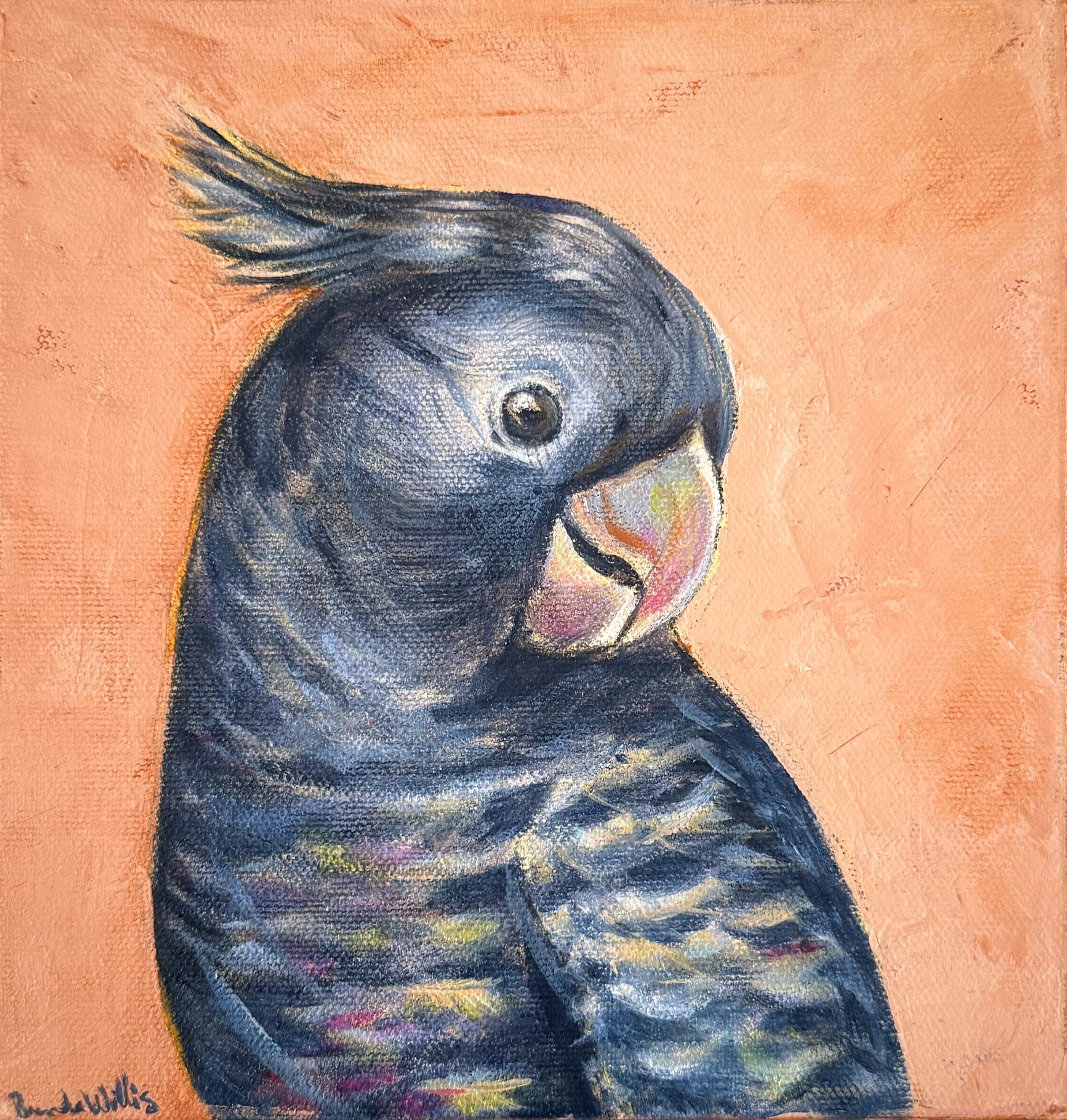 Brenda Willis - Felicity