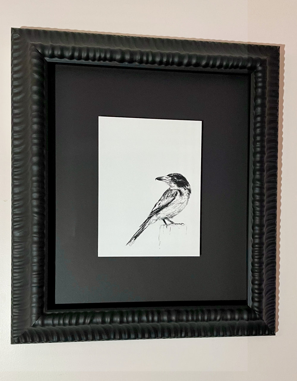 Shani White - Grey Butcherbird