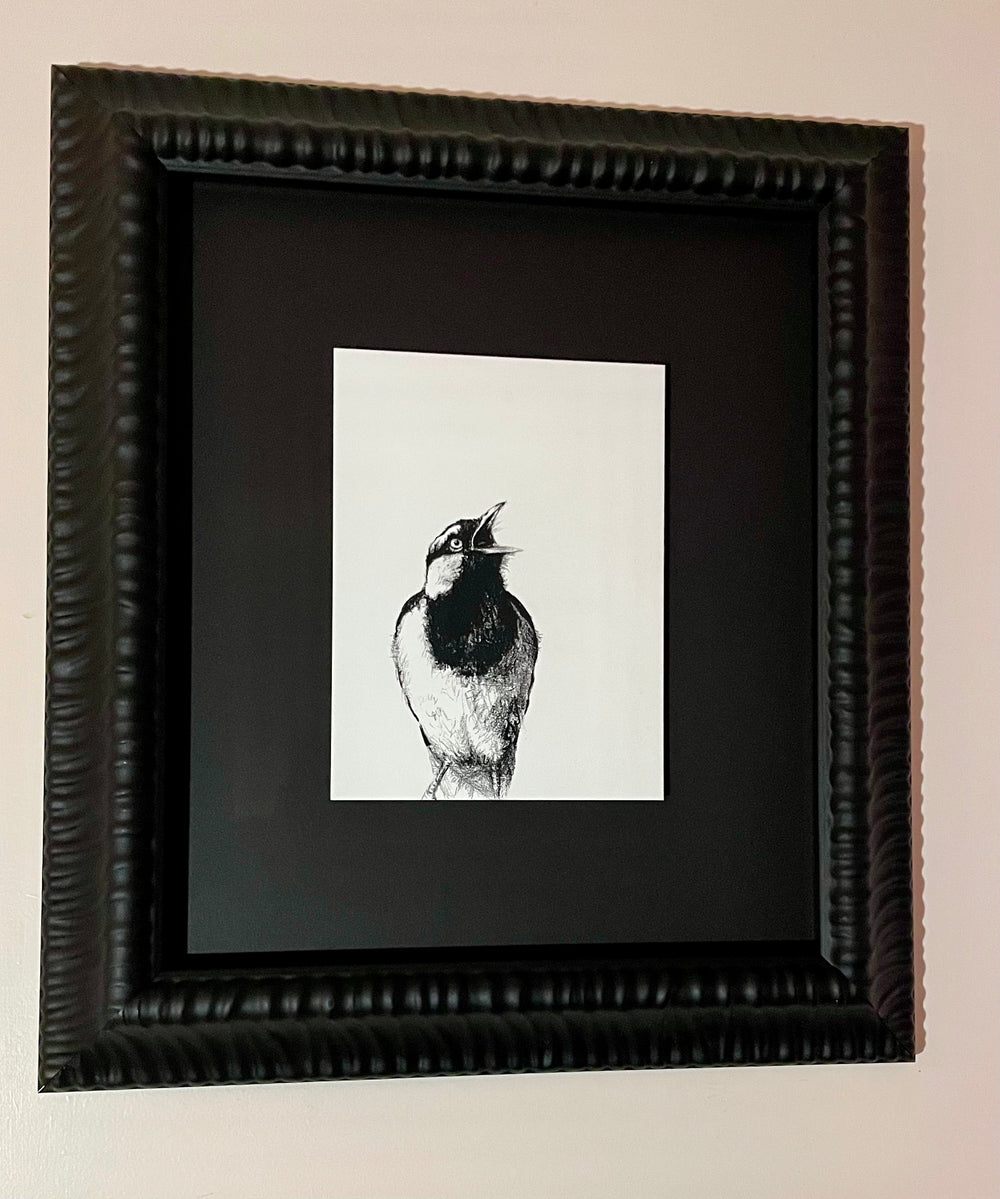 Shani White - Magpie Lark (Pee Wee)