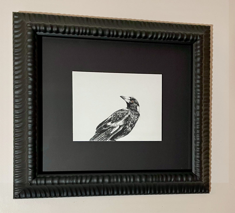 Shani White - Magpie