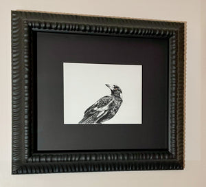 Shani White - Magpie