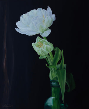 Sarah Field - White Tulips