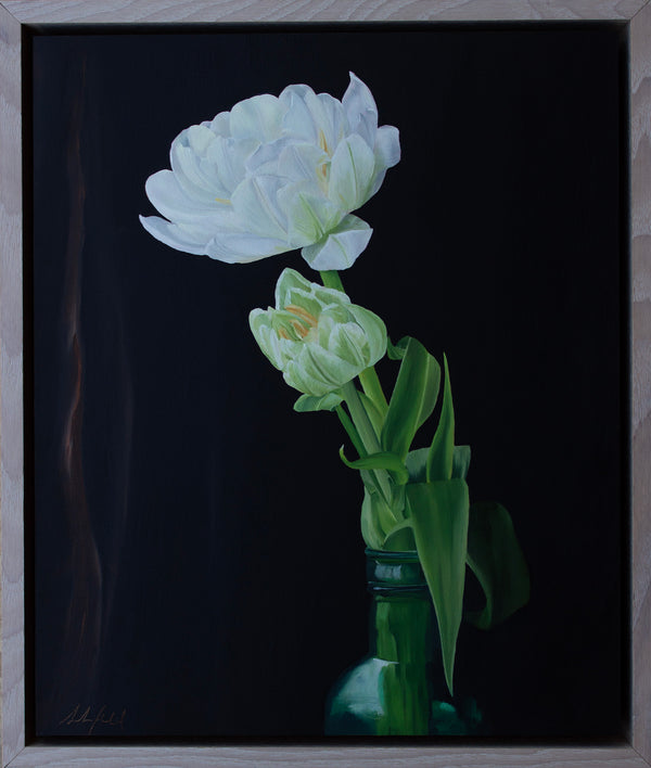 Sarah Field - White Tulips