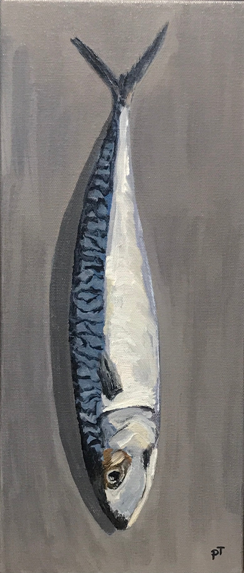 Parita Thakkar - Jolly Fella