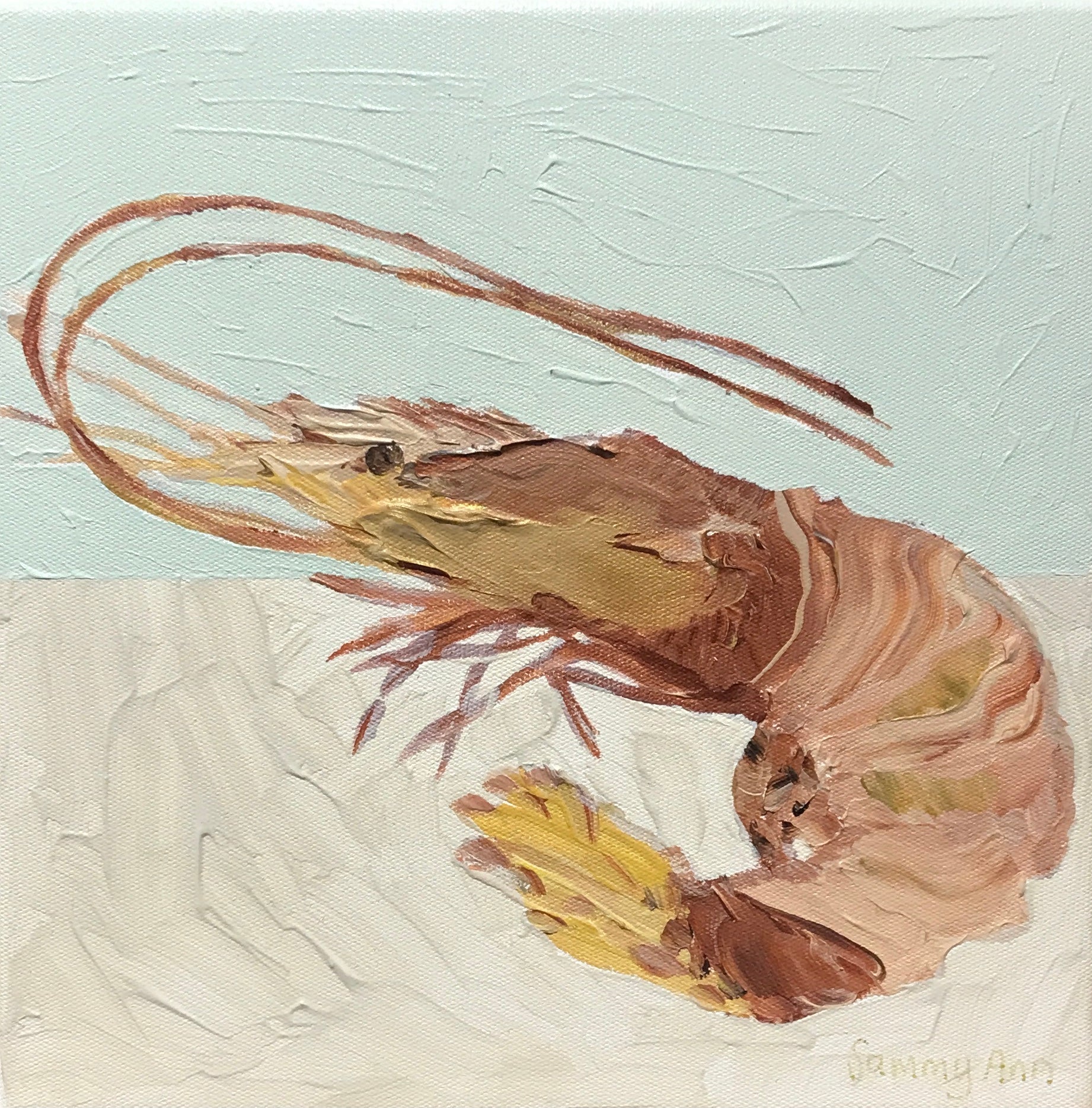 Sammy Ann - Prawn Portraits 2