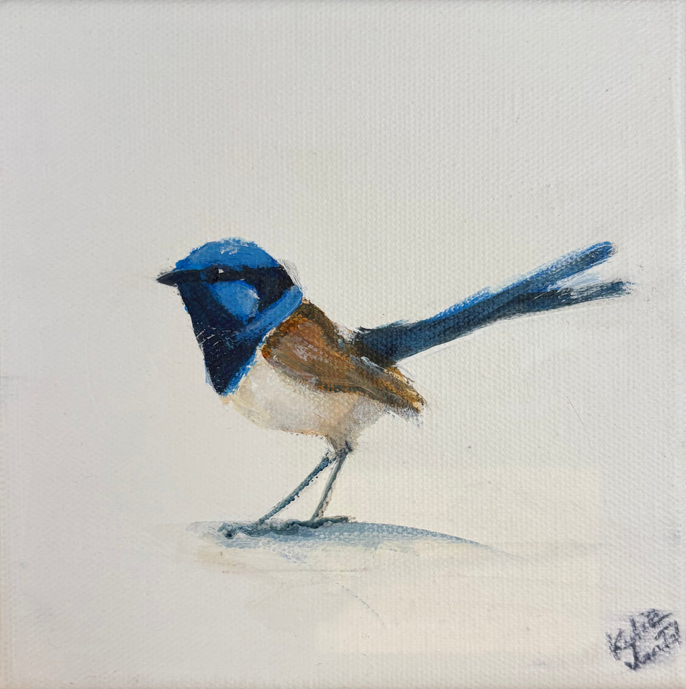 Kylie van Tol - Blue Wren 8