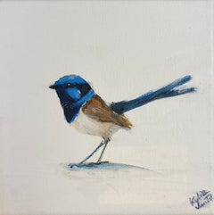 Kylie van Tol - Blue Wren 8