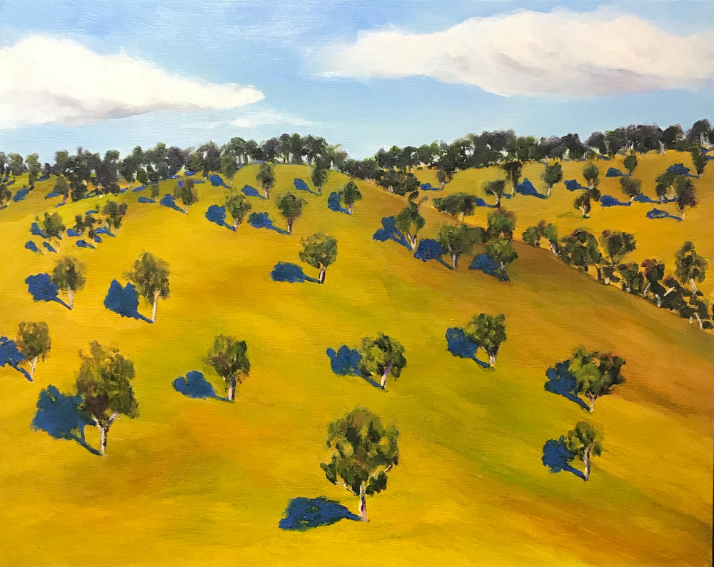 Dylan Cooper - Coolah Noon