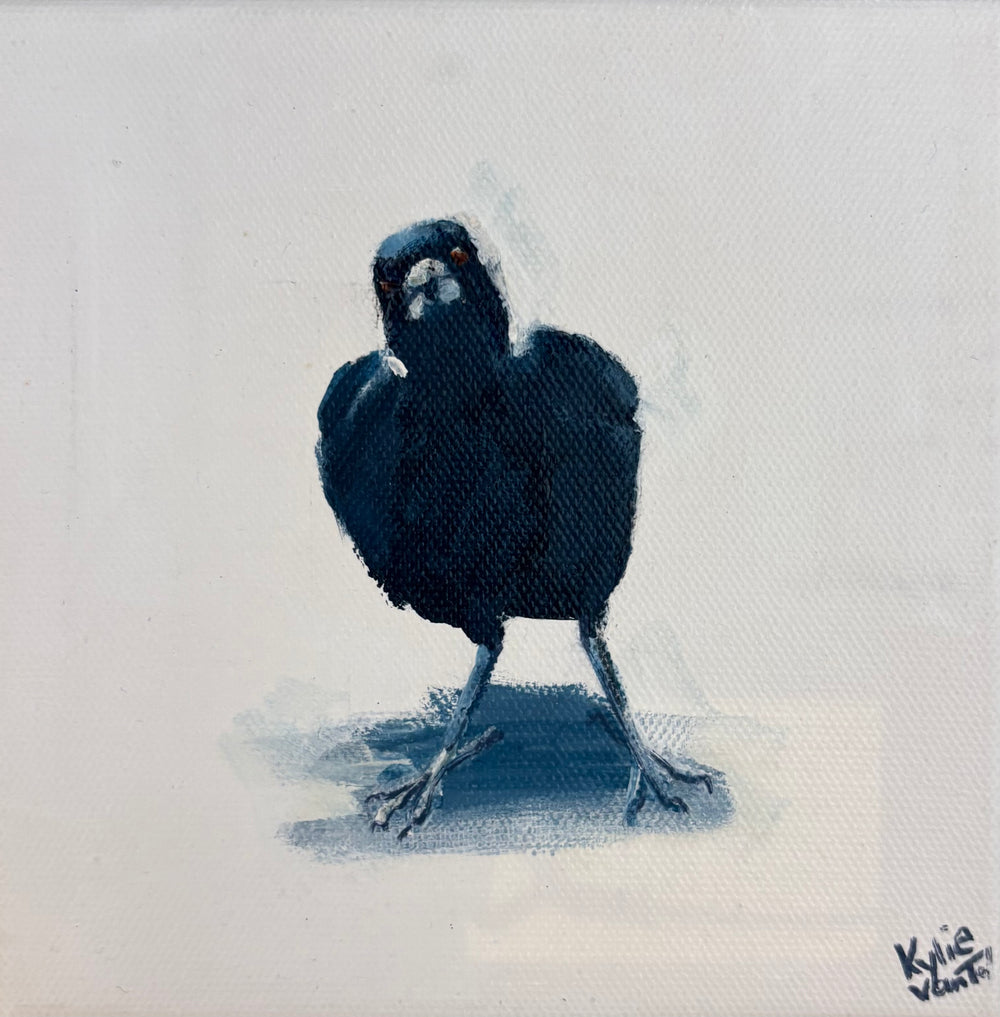 Kylie van Tol - Magpie 23