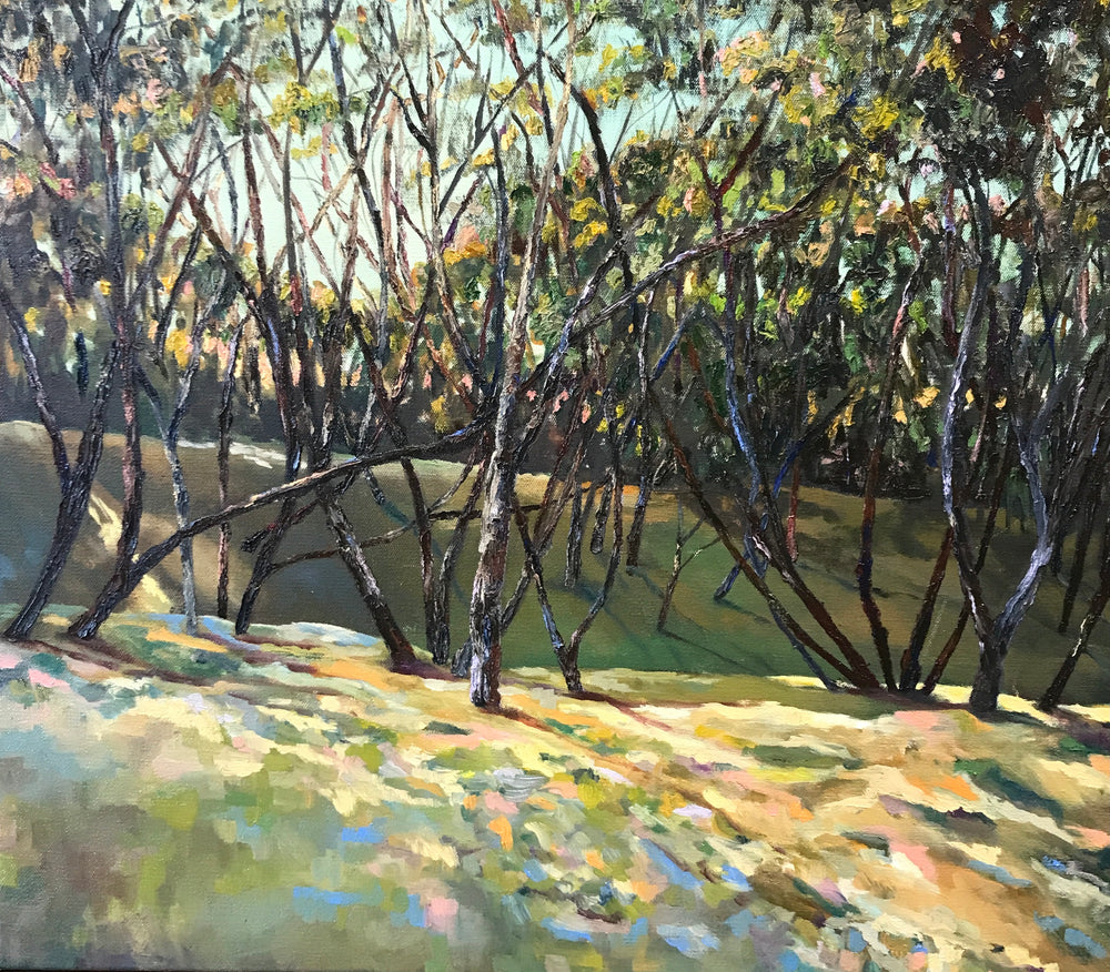 Dylan Cooper - Afternoon Light