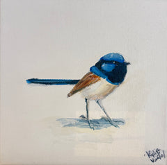 Kylie van Tol - Blue Wren 6