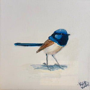 Kylie van Tol - Blue Wren 6