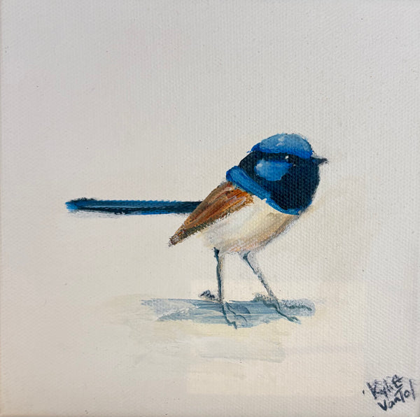 Kylie van Tol - Blue Wren 6